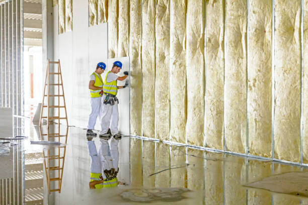 Best Blown-In Insulation  in Mcdade, TX